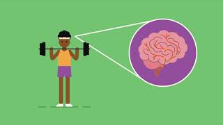 How exercise affects the brain