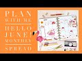 PLAN WITH ME | JUNE MONTHLY SPREAD | THE HAPPY PLANNER