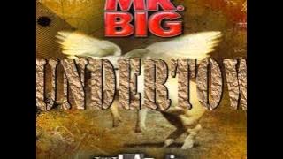 Mr. Big - Undertow (Lyrics)