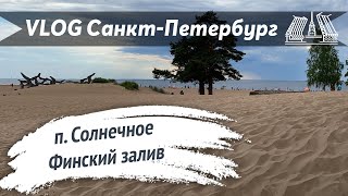 VLOG 76: Куда поехать в Питере на пляж? Солнечное, пляж 