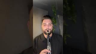 Vlaicu Robert  La Ceas Vengo Cover Vali Vijelie 2026 Clarinet Version