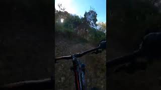 Pinoy Mountain Biking in South Korea..