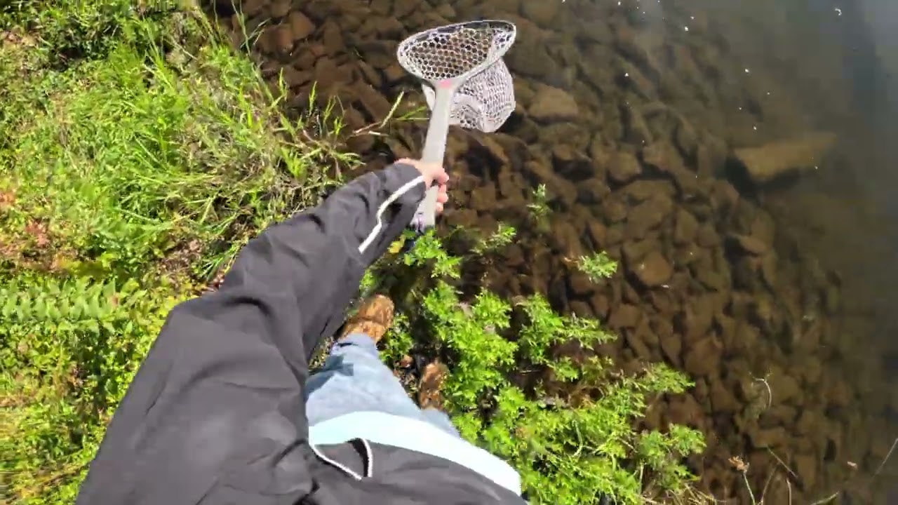 Fly/Tenkara Fishing in the Pocono Mountains for Bass
