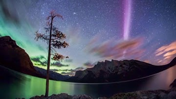 STEVE is NOT an aurora