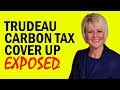 Carbon Tax Cover Up Exposed