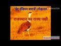 State Bird of Rajasthan- Godawan | राजस्थान का राज्य पक्षी गोडावण Rajasthan GK