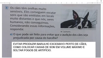 Porque o barulho dos rojões incomoda tanto os cachorros?