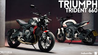 2024 Triumph Trident 660: The New King of Roadsters | Fun, Agile, and Affordable!