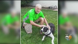 Santa Ana Man Killed After Train Strikes Vehicle, Dog Jumps to Safety