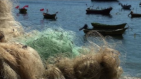 Fishing nets recycled into skateboards in Chile