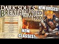 Turning Dark Souls Into A Breath Of The Wild Like With A MOD (pls don&#39;t sue me nintendo)