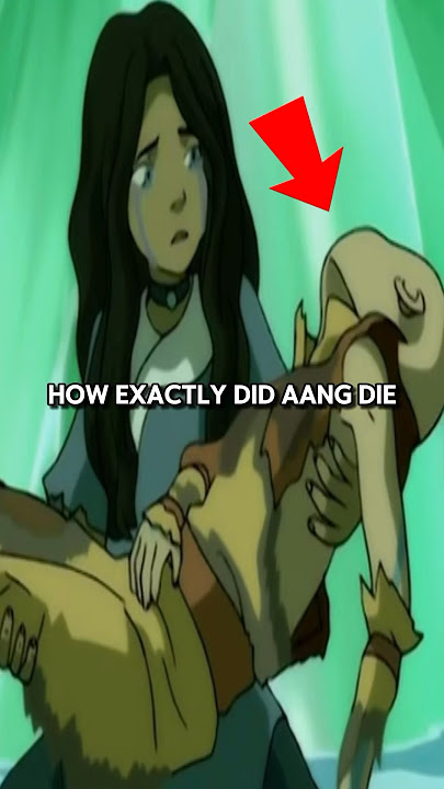 How does Aang die in avatar ? #avatar #avatarthelastairbender