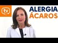 Alergia a ácaros del polvo ¡información clave que debes conocer!