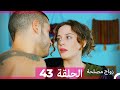Zawaj Maslaha - الحلقة 43 زواج مصلحة