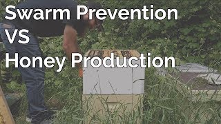 The Balance Between Swarm Prevention And Honey Production