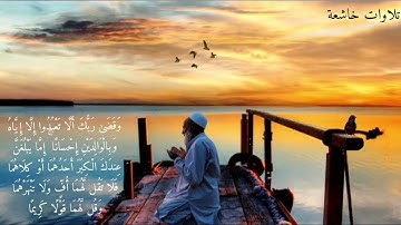 الشيخ يوسف العيدروس وتلاوة لاتوصف