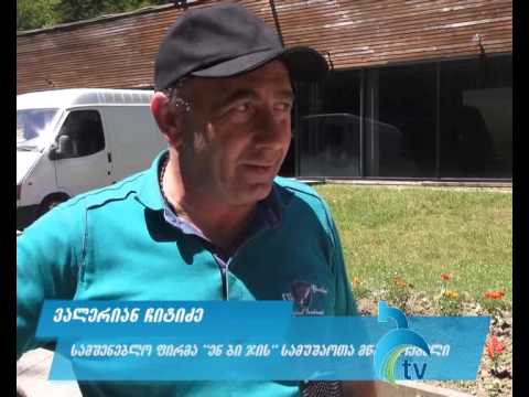 რატომ არ გაიხსნა საცურაო აუზი ბორჯომის პარკში