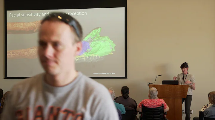 Michelle Stocker at NHMU DinoFest