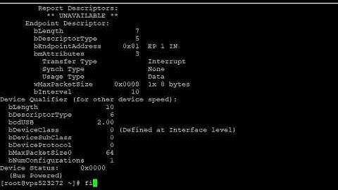 How to View the Information of USB Controllers in Linux