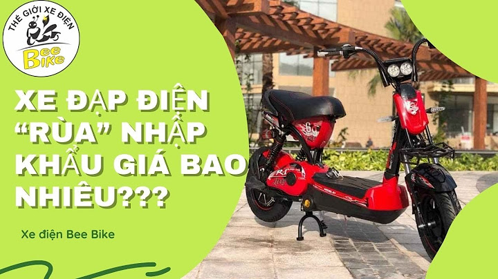 Xe đạp điện rùa mới giá bao nhiêu năm 2024