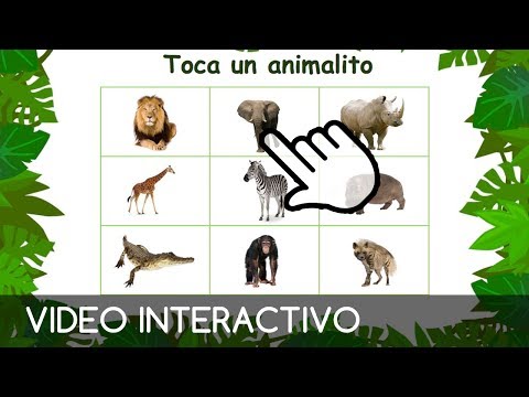 Vídeo: Juegos Interactivos Para Niños