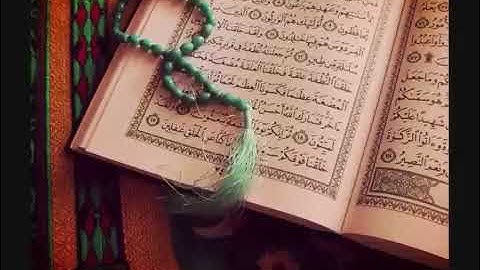 سورة غافر  بصوت الشيخ وديع اليمني