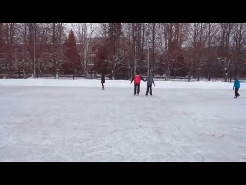 27 02 2016 каток в ПКиО "Дубки" (г.Сестрорецк)