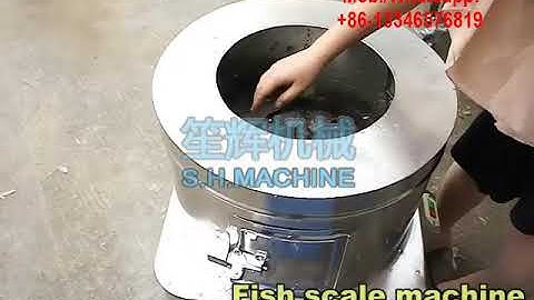 Commercial electric fish scaler machine