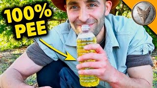 Can PEE Cure Ant Stings?!