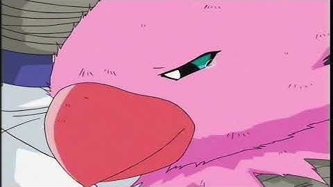 Digimon Season 2 ~ Biyomon Explains How She Got Abducted By Starmon