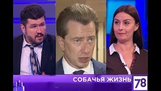 Суд СПб запретил выпуск бродячих собак (ОСВВ) 09.10.2018 Суд СПб запретил выпуск бродячих собак (ОСВВ) 09.10.2018