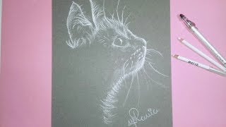 How to draw a Cat with White on Black Paper  - كيف ارسم قطة بالابيض على الورق الاسود