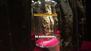 The Largest Gold Nugget in Existence is On Display in Las Vegas