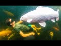 The Day I Went Swimming With Big Friendly Fish?!