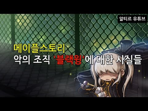 (+) VS 블랙윙