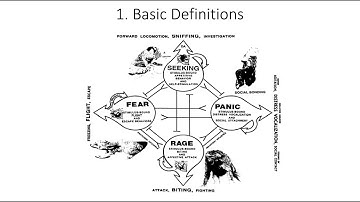 11.1. Basic Definitions, Fundamentals of Cognitive Neuroscience Course, Session 11, Part 1