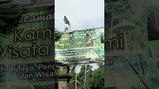 Sulap Pekarangan Rumah Jadi Ratusan Kolam Gurame #kolamgurame