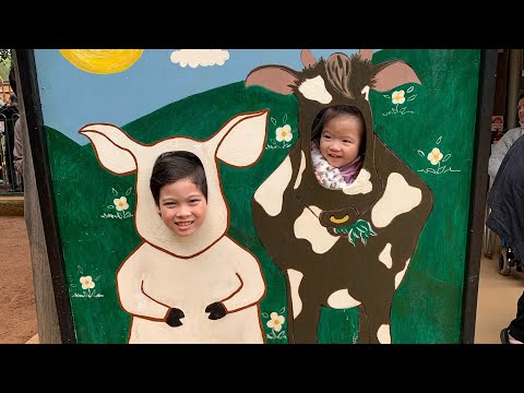 What to do in Swan Valley: Cuddly Animal Farm #kids #familytime #perth #westernaustralia