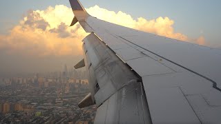 RARE Newark Runway 29 Landing – United Airlines – Boeing 737-824 – TPA-EWR