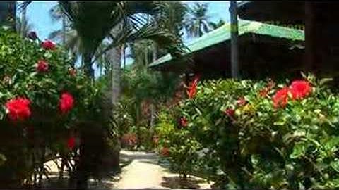 Lamai Coconut Resort Samui  Island Thailand - samuitv.com