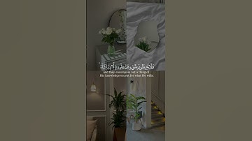 آية الكرسي من  سورة البقرة بصوت الشيخ ياسر الدوسري