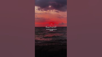 تلاوة خاشعة /بصوت القارئ شريف مصطفى 😌❤️💕🌿
