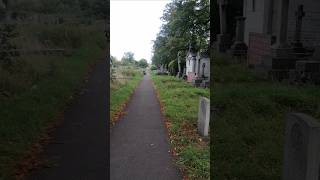 Лондон Кладбище 1852 года! Brompton Cemetery #shorts #akiranalive #кладбище #альтернативная #история