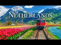 Netherlands 4k spring relaxation film  peaceful piano music  spring flower