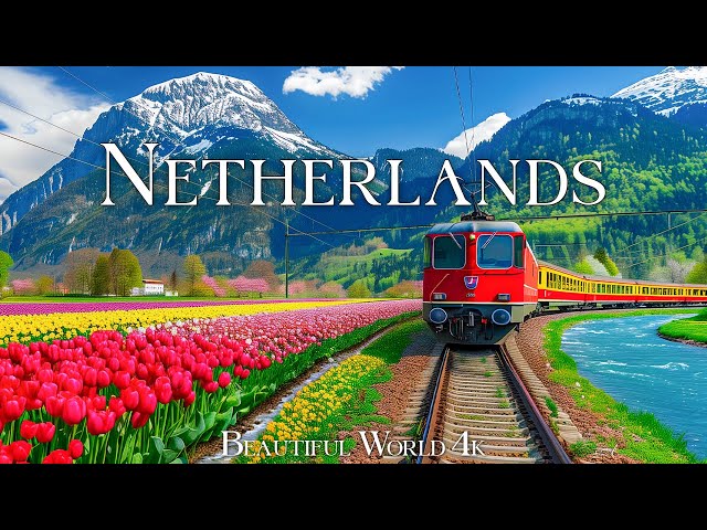 Netherlands 4K Spring Relaxation Film - Peaceful Piano Music - Spring Flower class=