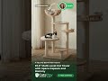 57.5" Multi-Level Cat Tower with Space Capsule and Balcony — Expert Audit | CatsPlay