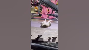 When a flower doesn’t bloom you fix the environment in which it grows. Not the flower.