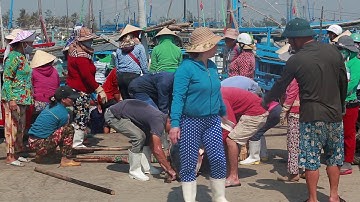 Cảng cá Phú Yên buổi sáng - Những ngư dân trở về với những mẻ tôm cá đầy khoang