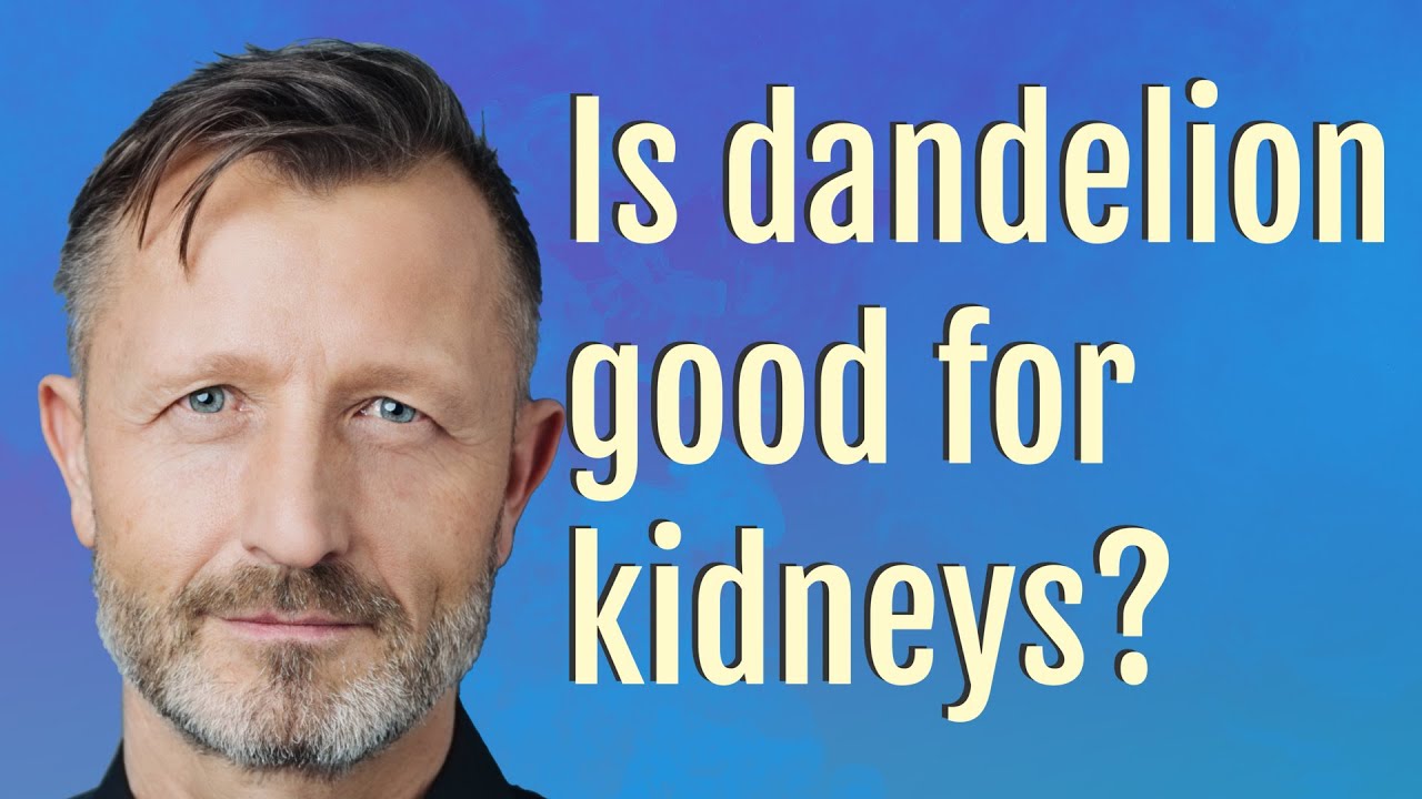 Is Dandelion Good For Diabetes Is Dandelion Good For Diabetes