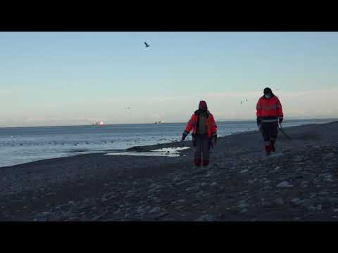 ბათუმის სანდასუფთავების სამსახური სანაპიროს მოწესრიგებას ყოველდღიურად ახორციელებს - ბათუმის მერია